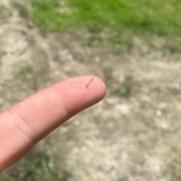 COPY - Tiny 1mm Diamond Gold Nose Ring Nose Stud Nose Piercing - Picture 3 of 8